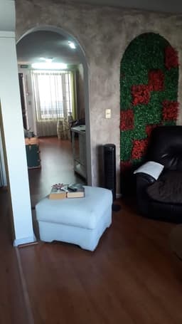 Imagen 5