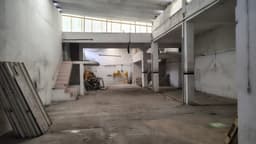 Imagen 5